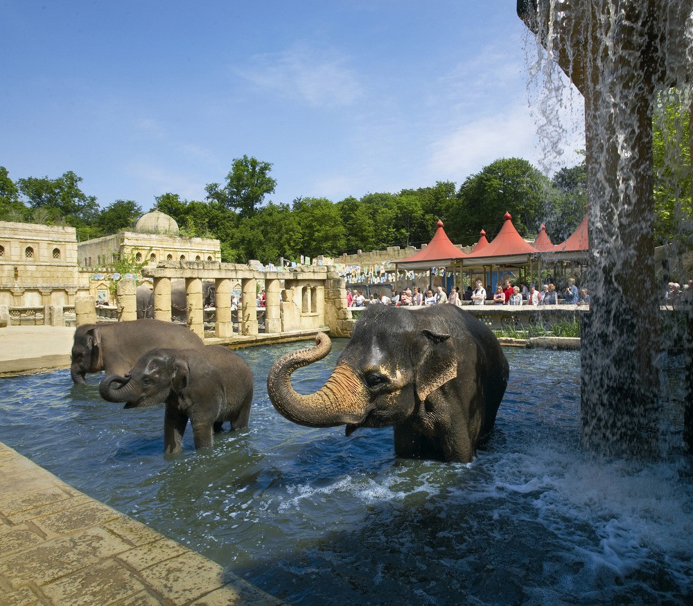 Erlebnis-Zoo Hannover