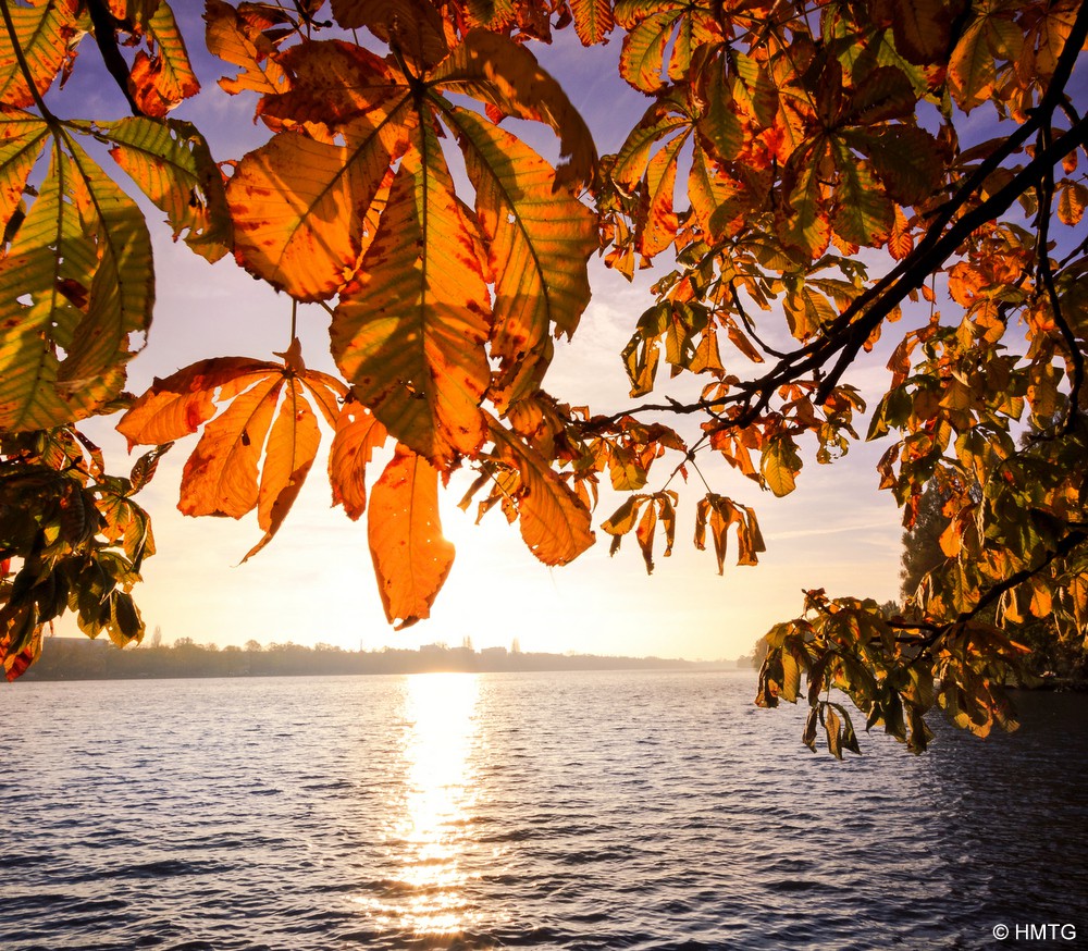 Herbst in Hannover