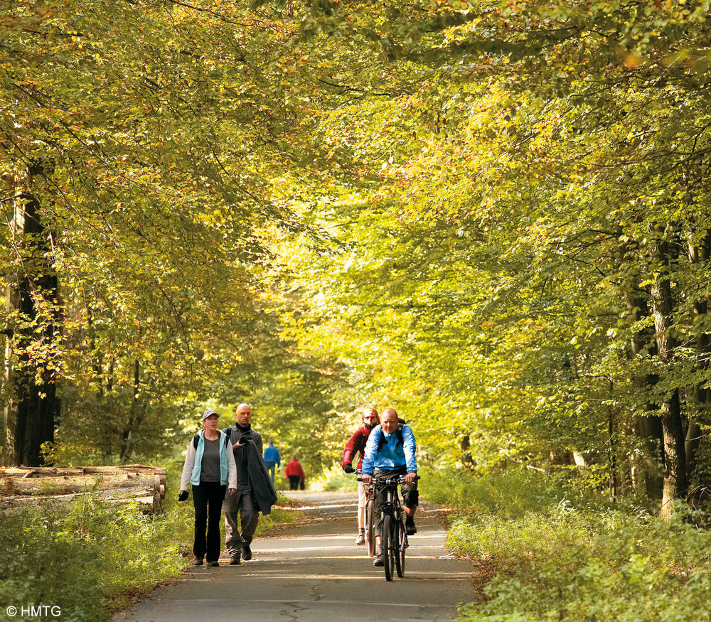 Wandern durch den Deister