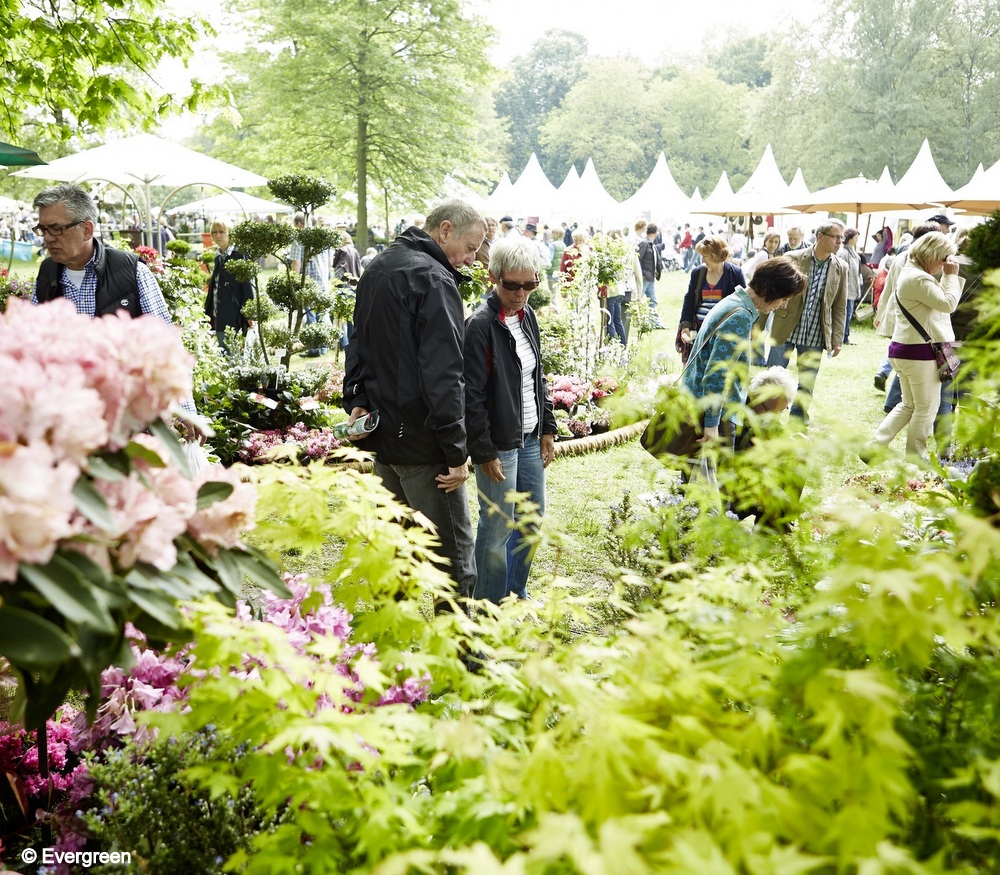 Programm auf dem Festival