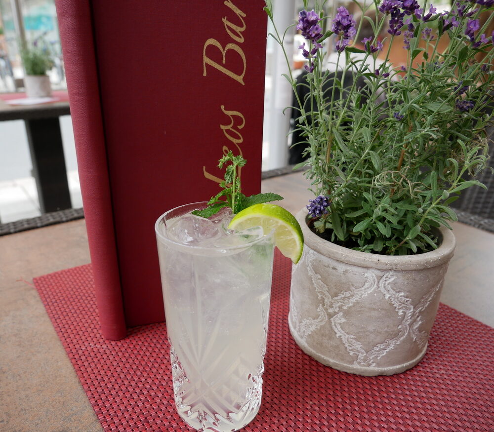 Zutaten für den Gin Gin Mule